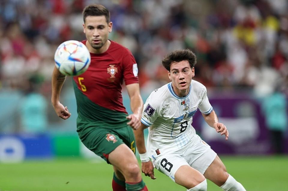 体育场景配图（资料示意）